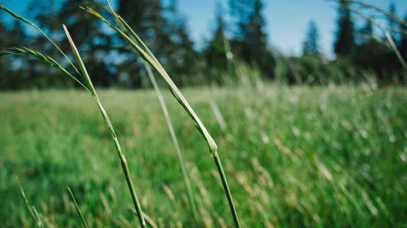 Kıskançlığın Renkleri: Erkekler Gerçekten Kıskanır mı?
