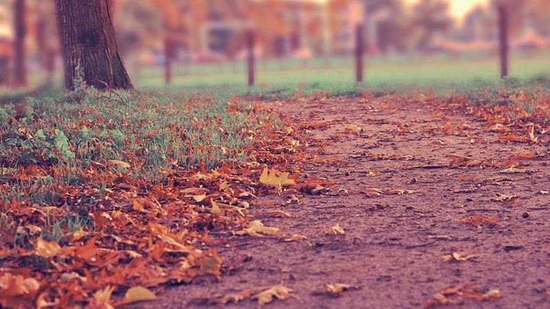 Birinin Size Değer Vermediğini Nasıl Anlarsınız?