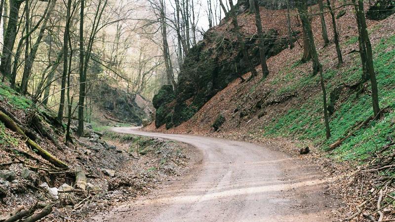 Başlık: "Zamanla Değişen Biz: İnsanların Dönüşüm Hikayeleri"